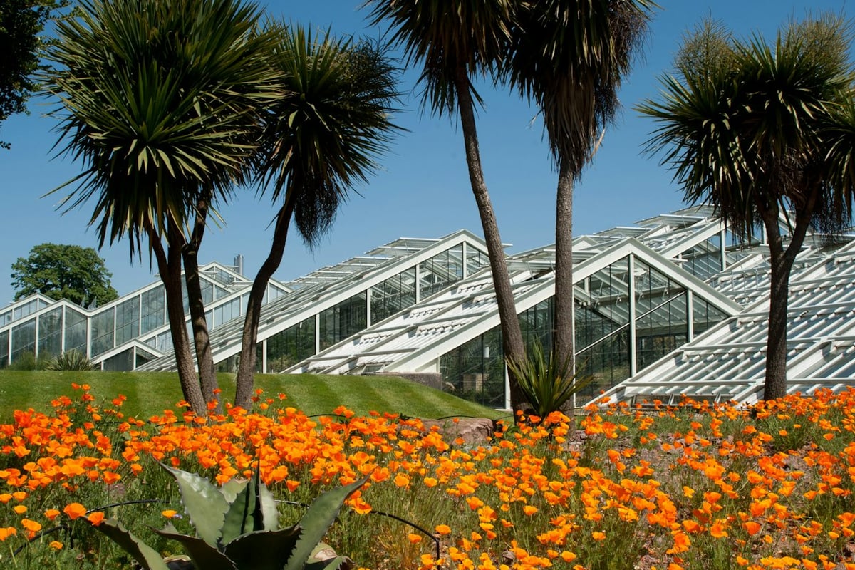 Tickets and prices  Kew