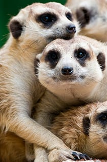 Terra Natura Murcia: Entry Ticket