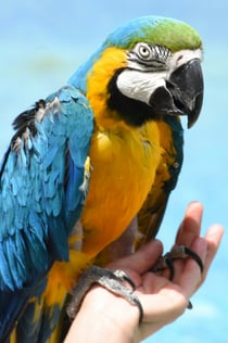 Terra Natura Murcia: Entry Ticket