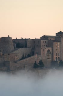 Castle of Cardona: Guided Visit