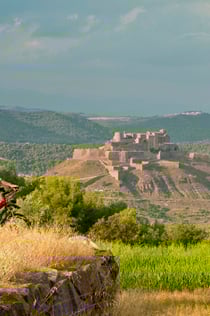Castle of Cardona: Guided Visit