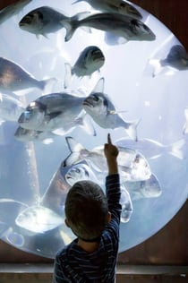 SEA LIFE Speyer: Entry Ticket
