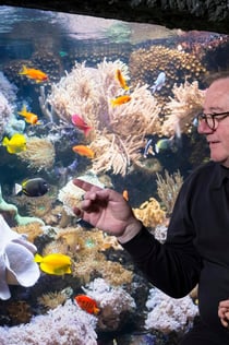 SEA LIFE Speyer: Entry Ticket