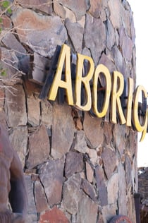 Mundo Aborigen: Entry Ticket