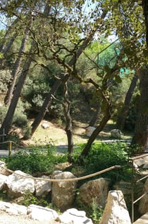 La Barben Animal Park