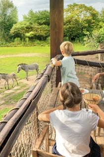 Leipzig Zoo: Skip The Line Ticket