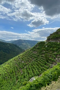 Τουριστικό τρένο Ribeira Sacra