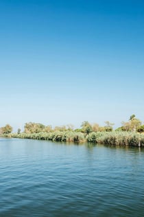 埃布罗三角洲河上巡游