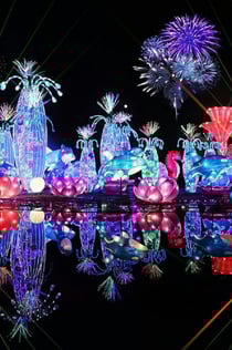 두바이 가든 글로우: 입장권