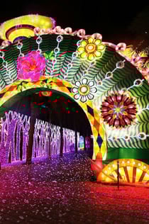 두바이 가든 글로우: 입장권