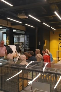 Woerden Cheese Experience