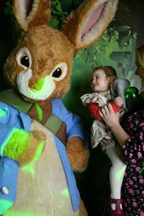 Peter Rabbit Explore & Play