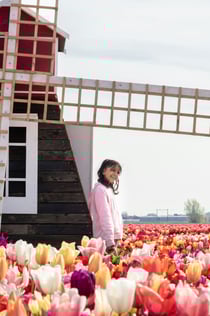 Tulip Experience Amsterdam: Entry Ticket