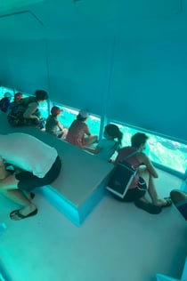 Cap Norfeu: 2,5-timers bådtur med glasbund fra roser eller Santa Margarita