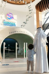 O Aquário Nacional de Abu Dhabi: Passe de acesso total