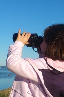 Zwiedź Delta z przewodnikiem samochodem