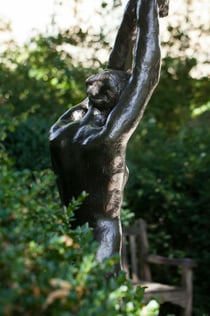 Musée Rodin Membership Card