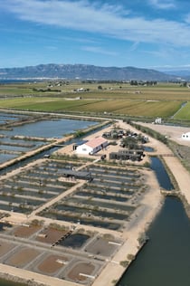Guidat besök i MónNatura Delta de l'Ebre