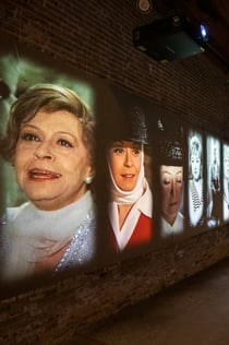 Muzeum Fellini: Vstupenka