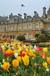 Waddesdon Manor