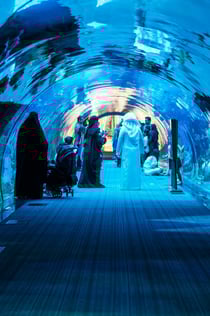 두바이 수족관 및 수중 동물원: 올 액세스 패스