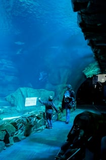 Aquarium de Paris: Annual Pass