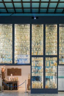 Museum Darwin-Dohrn