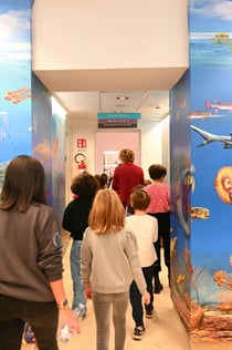 Museum Darwin-Dohrn