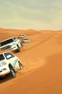 두바이 왕립 사막 요새: 육상 크루저로 즐기는 사파리