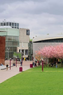 I amsterdam Card + Van Gogh Museum