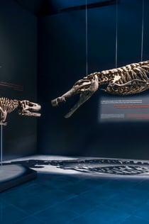 두바이 악어 공원: 입장권