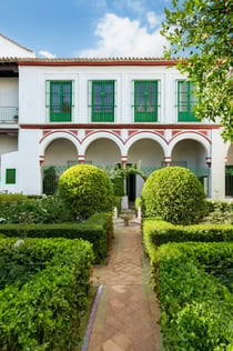 Bucarelli Palace: Entry Ticket