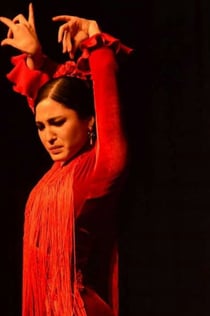 Siviglia: Corso di ballo flamenco
