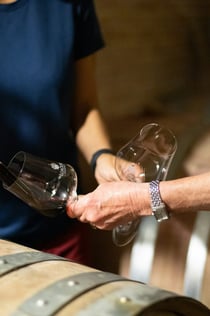 Corte Pavone Winery Estate: Backstage Brunello Tour + Gourmet Tasting