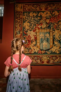 Gruuthusemuseum: inträdesbiljett