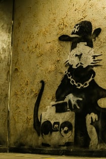 Banksy Museum Krakow