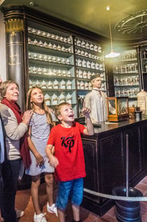 Volkskundemuseum: Inträdesbiljett