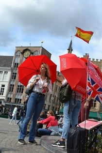 Bruges : Visite guidée privée