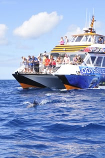 Odyssey 3 Bateau à fond de verre