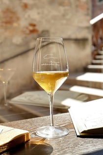 Venice: Local Wine Tasting