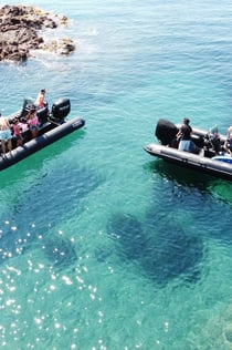 Cannes: Eclipse Paddleboard