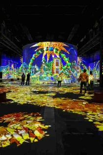 Phoenix des Lumières : Billet d'entrée