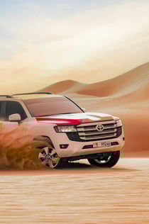 Abu Dhabi: Excursão matinal de safári no deserto