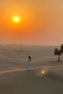 Abu Dhabi: Passeio de safári no deserto ao nascer do sol + traslado de ida e volta