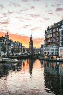 Amsterdam: Dagstur från Bryssel med ost, träskor och väderkvarnar