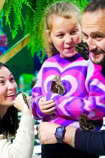 Krakow: Museum of the Living Butterfly
