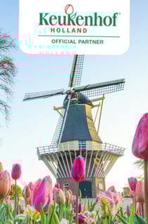 Madurodam & Keukenhof: Day Trip from Amsterdam