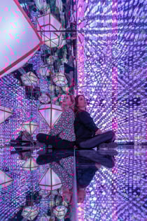The Upside Down + Moco Museum