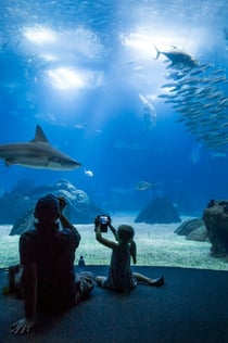 Oceanário di Lisbona e Monastero dos Jerónimos: Ingresso + App per audioguida