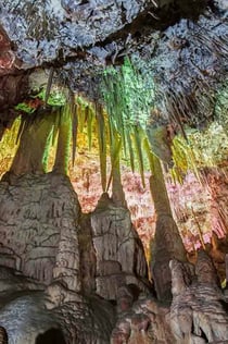 Dinosaurland & Hams' Caves: Combo Ticket